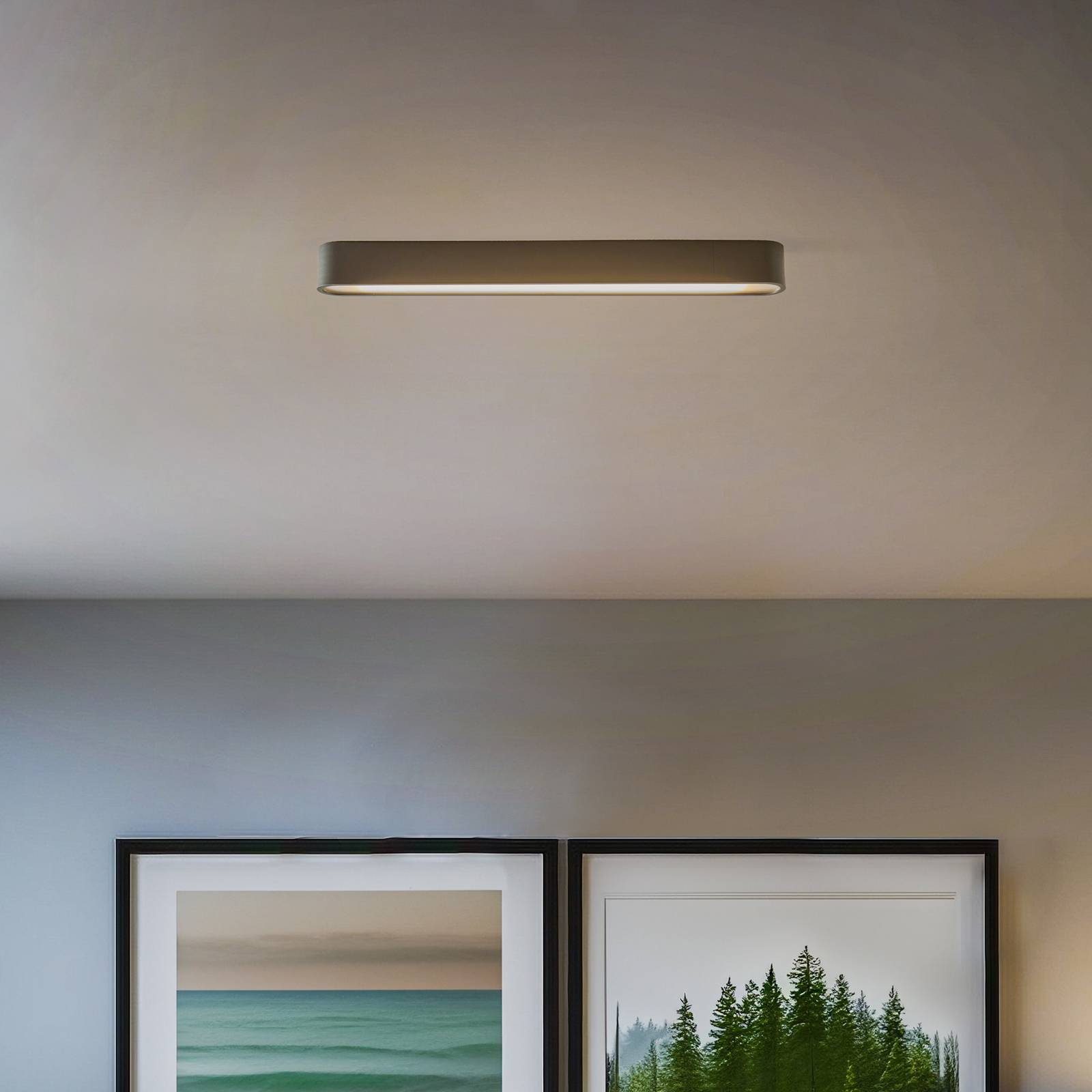 Stropné svietidlo Soft, 63 x 6 cm, grafit, hliník, G13