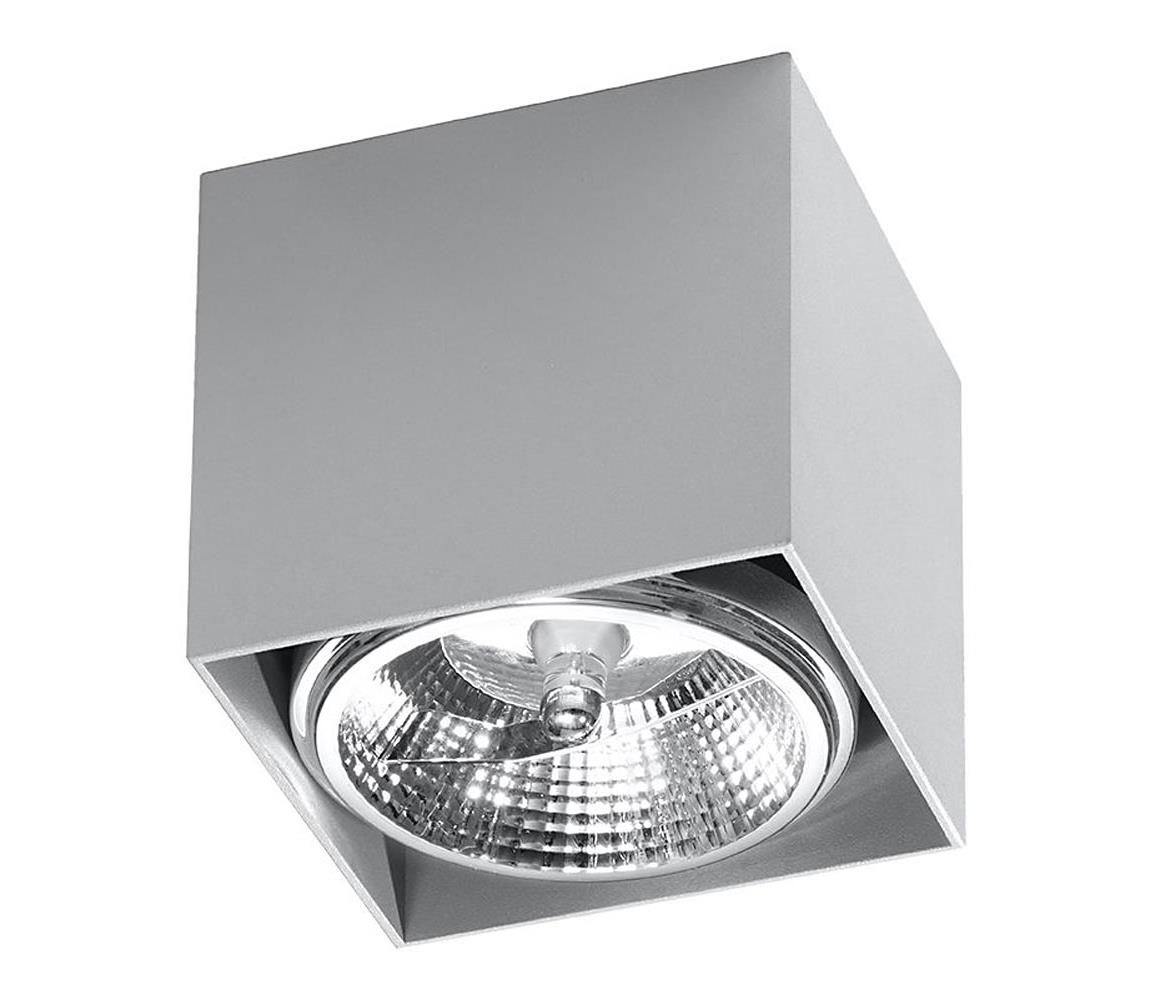 Donoci Bodové svietidlo BLAKE 1xGU10/40W/230V SL.0699