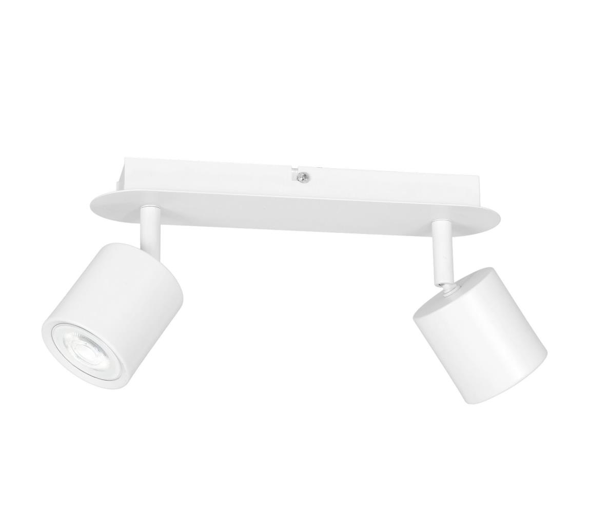 Donoci Bodové svietidlo DEMIA 2xGU10/8W/230V biela