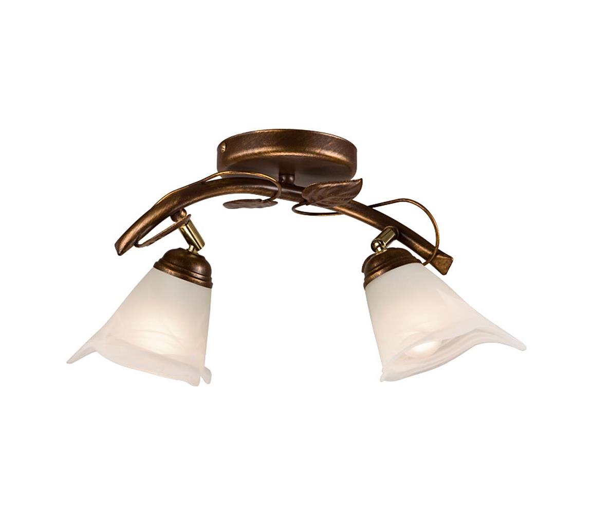 Donoci Bodové svietidlo IVY 2xE14/40W/230V LM 2.1 br