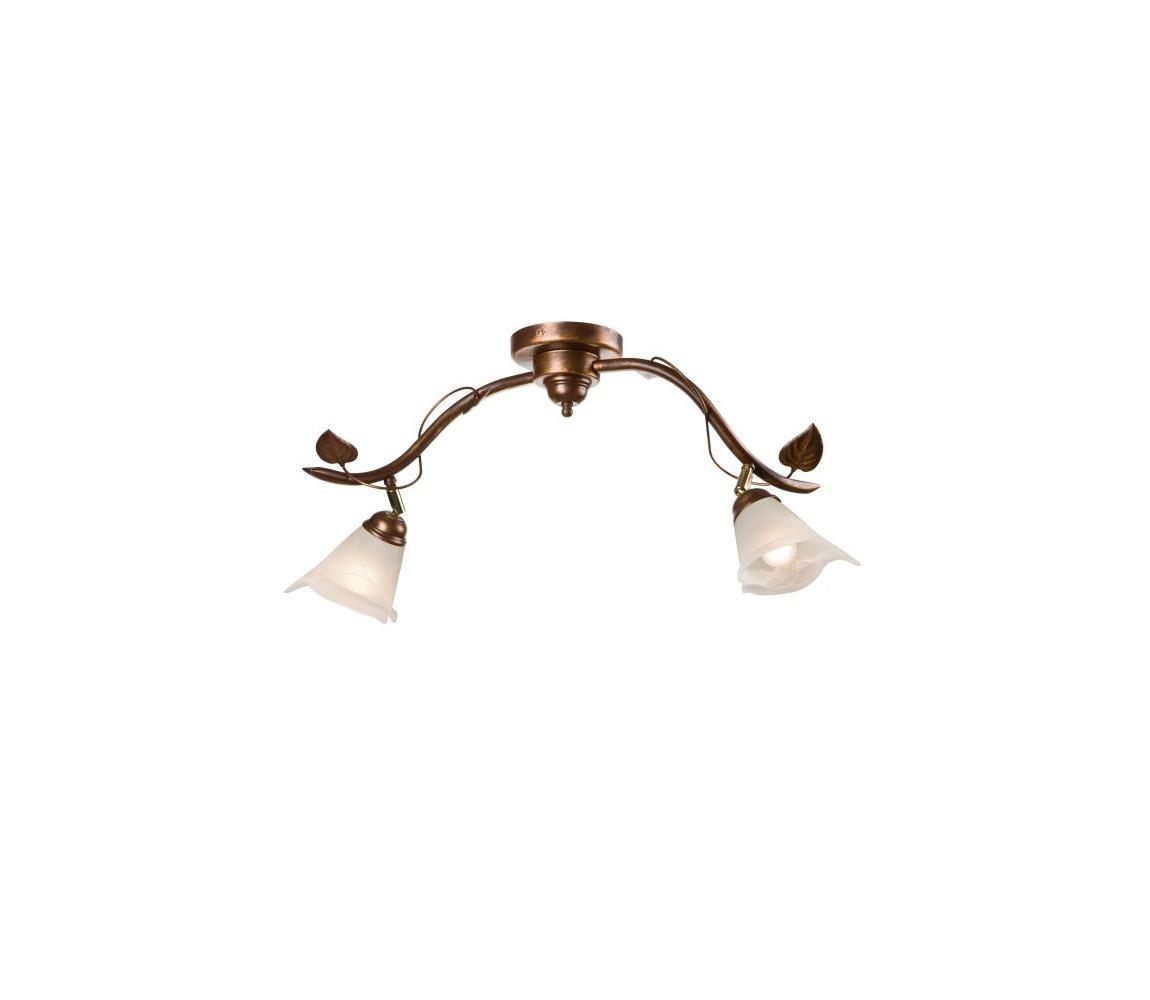 Donoci Bodové svietidlo IVY 2xE14/40W/230V