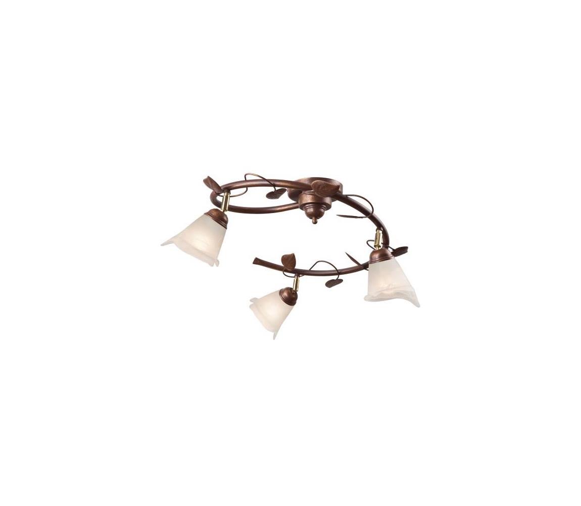 Donoci Bodové svietidlo IVY 3xE14/40W/230V LM 3.14 br