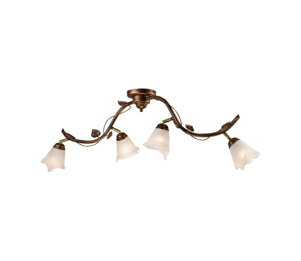 Donoci Bodové svietidlo IVY 4xE14/40W/230V