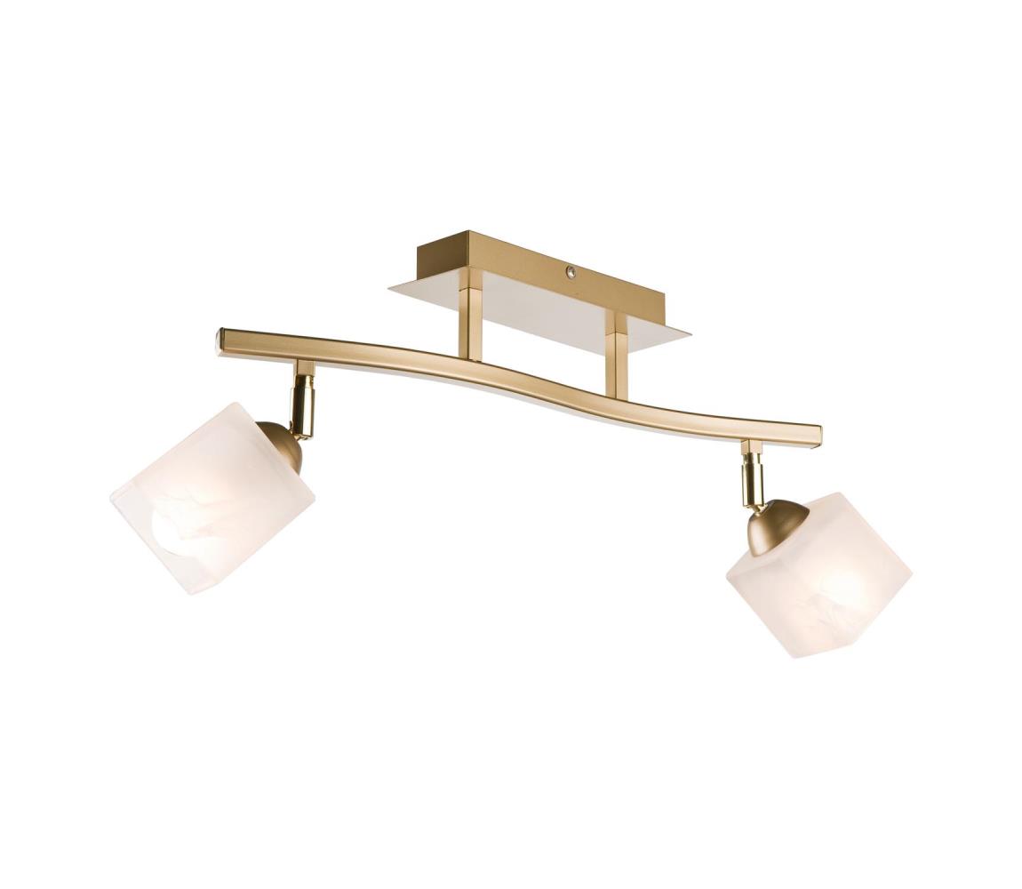 Donoci Bodové svietidlo KLARA 2xE14/40W/230V zlatá