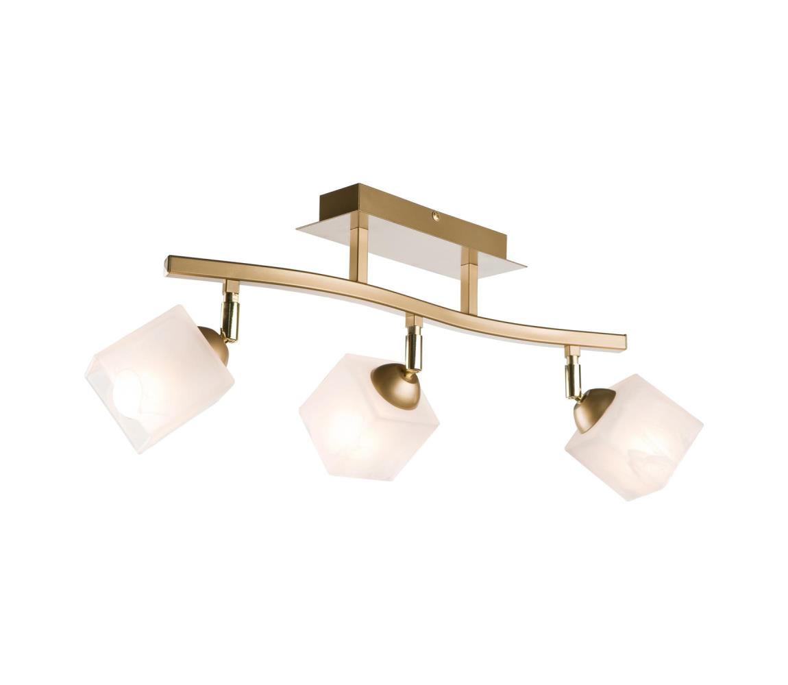 Donoci Bodové svietidlo KLARA 3xE14/40W/230V zlatá