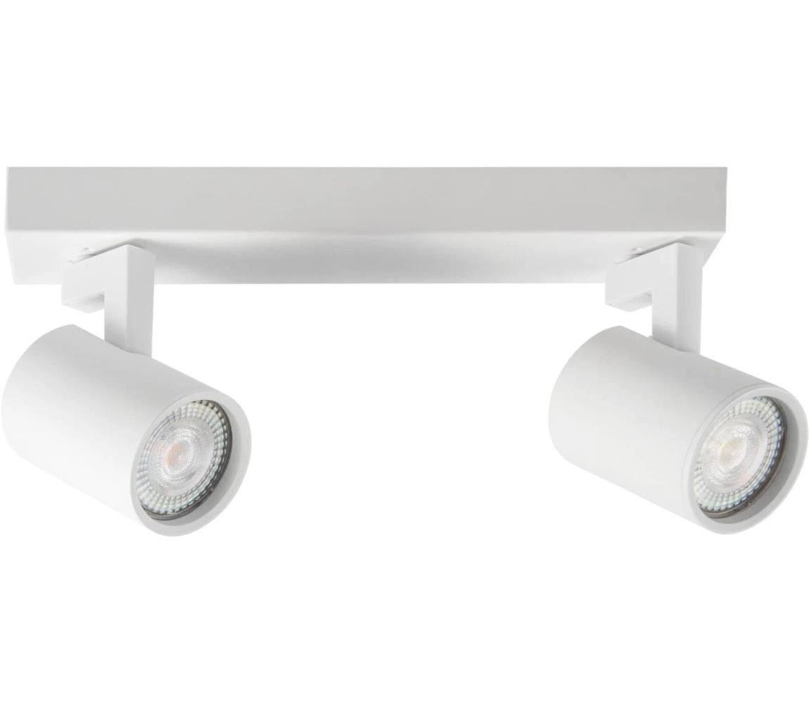 Donoci Bodové svietidlo LYNX 2xGU10/10W/230V biela