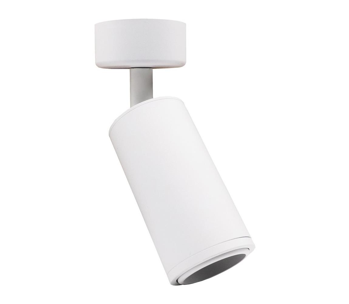 Donoci Bodové svietidlo MICA 1xGU10/25W/230V biela