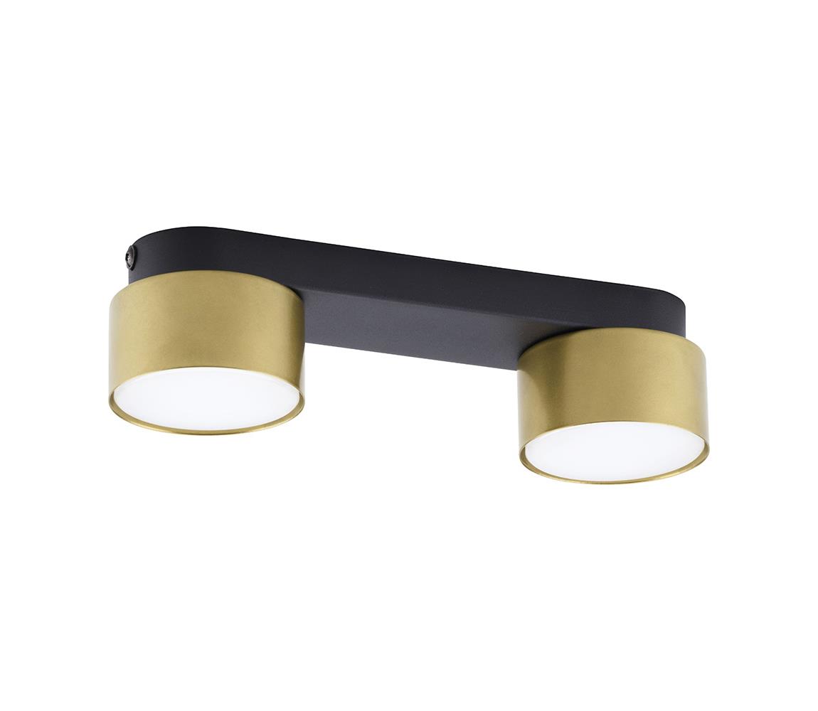 Donoci Bodové svietidlo SPACE GOLD 2xGX53/15W/230V