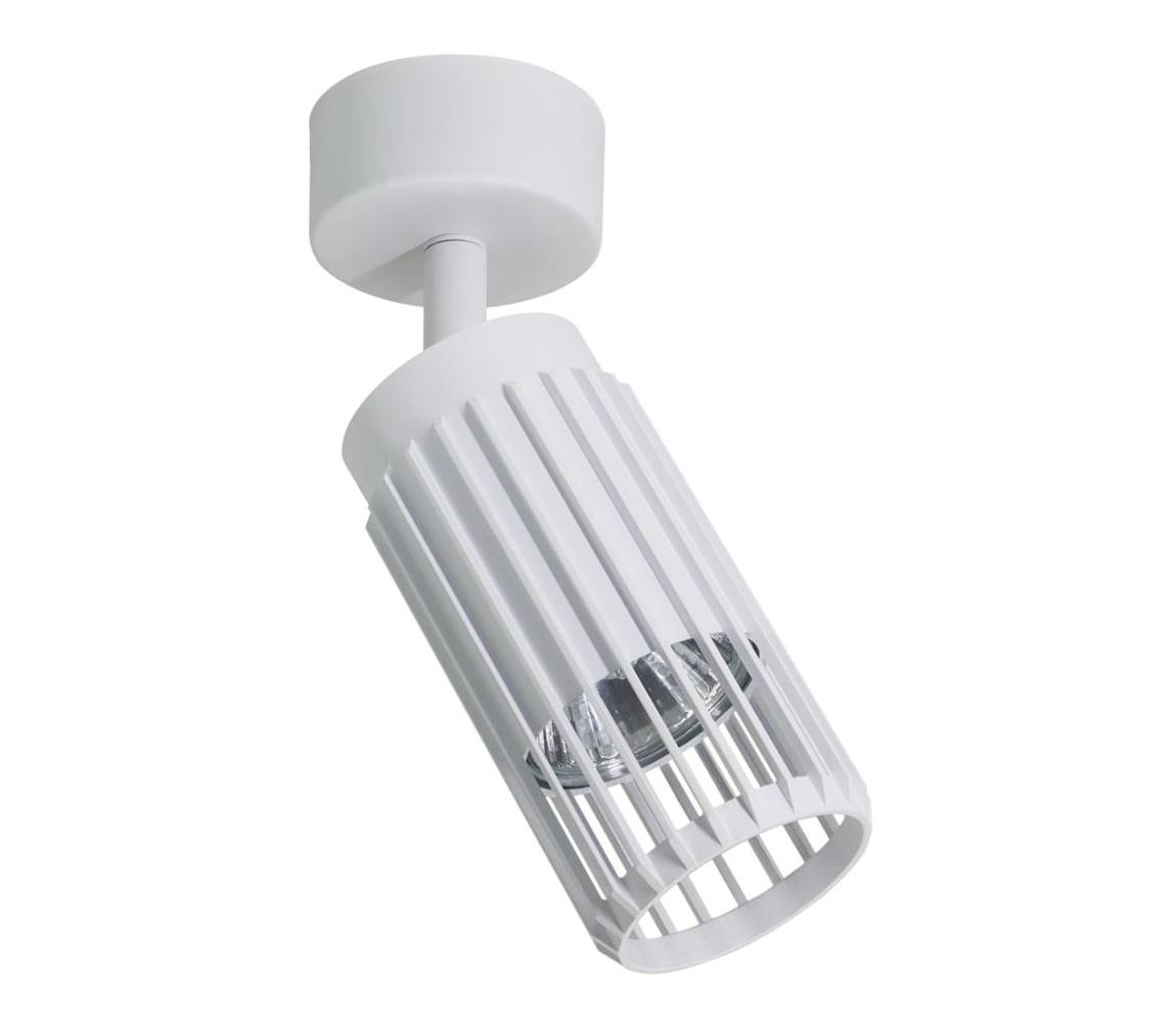 Donoci Bodové svietidlo VERTICAL 1xGU10/8W/230V biela ML0304