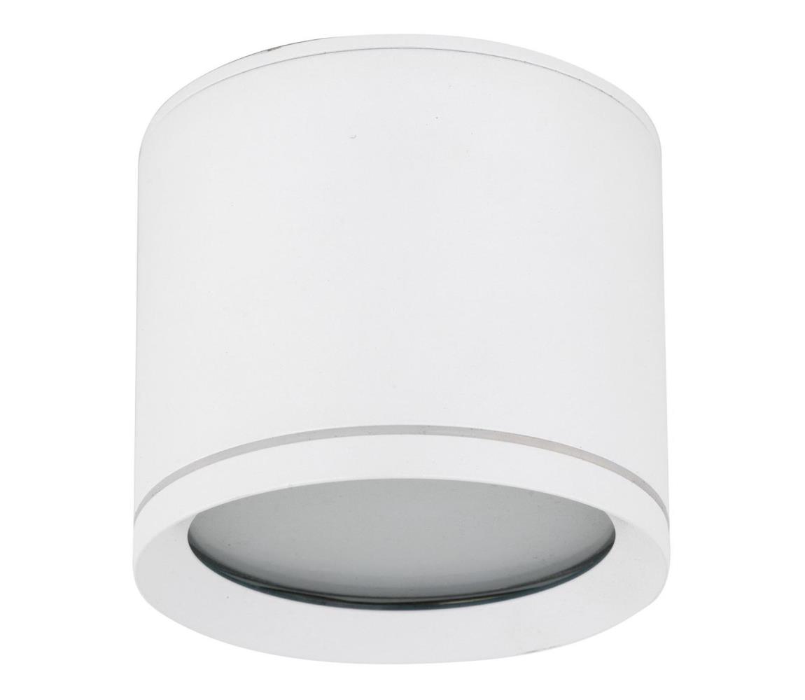 Donoci Bodové svietidlo VIVO 1xGX53/10W/230V 10 cm biela