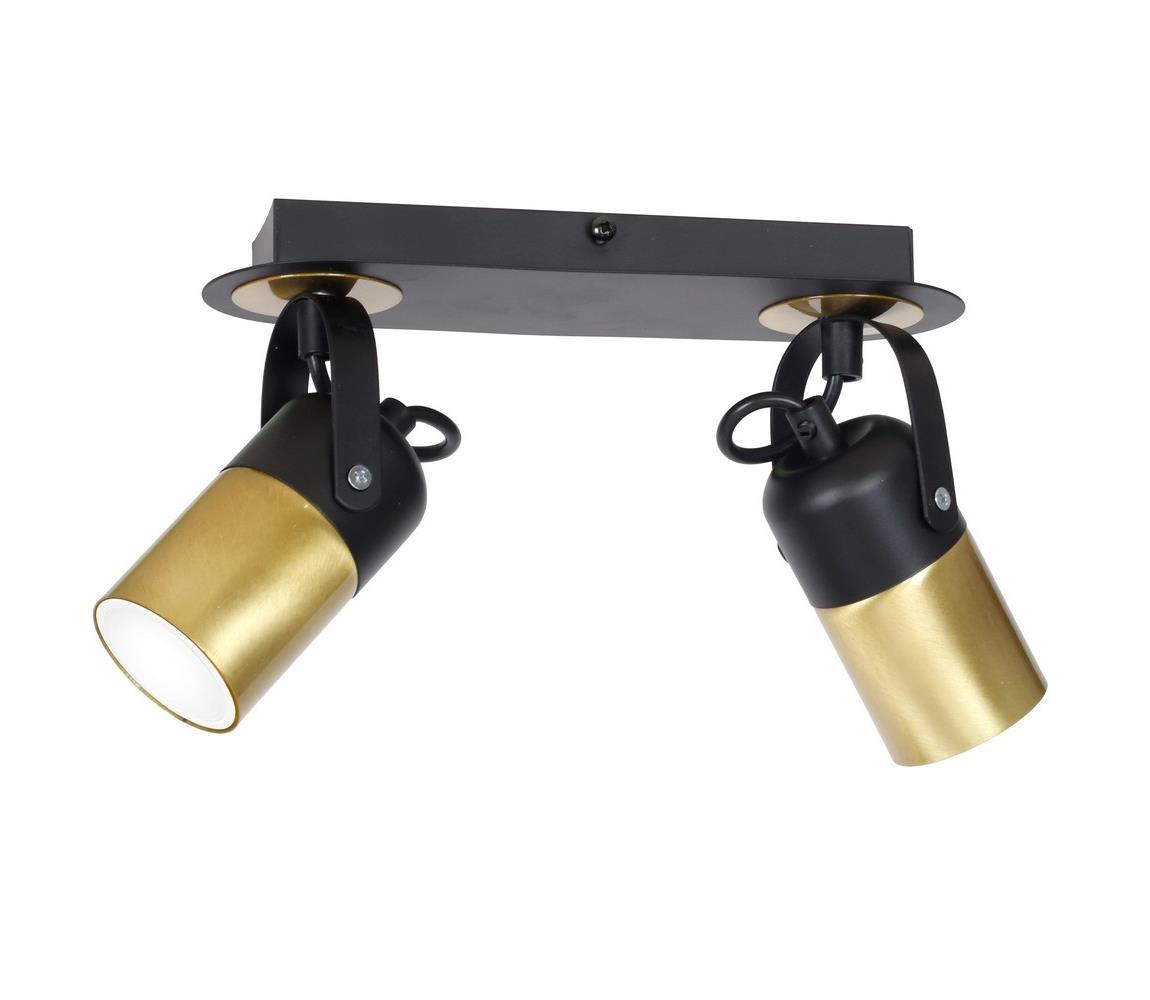 Donoci Bodové svietidlo WILSON 2xGU10/25W/230V