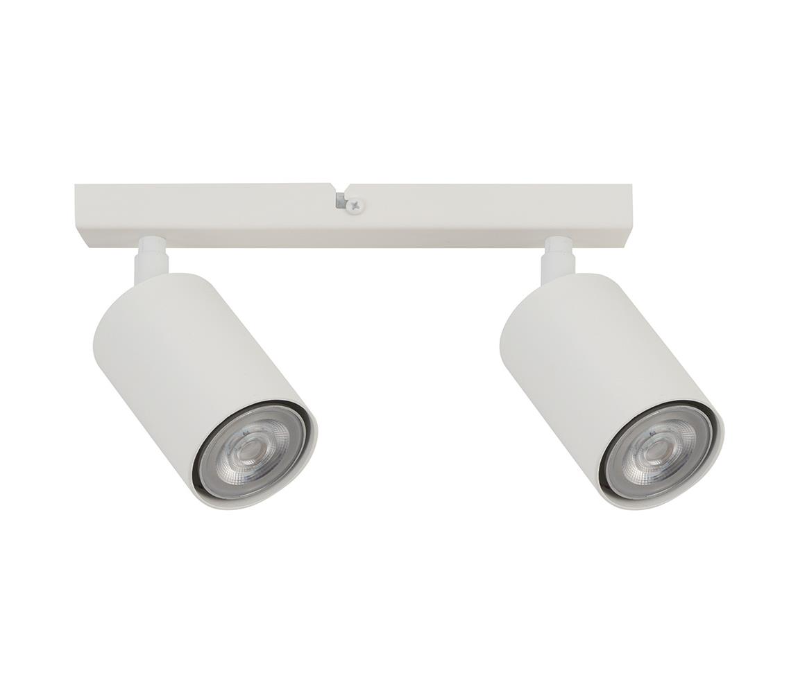 Donoci Bodové svietidlo ZOOM 2xGU10/25W/230V biela