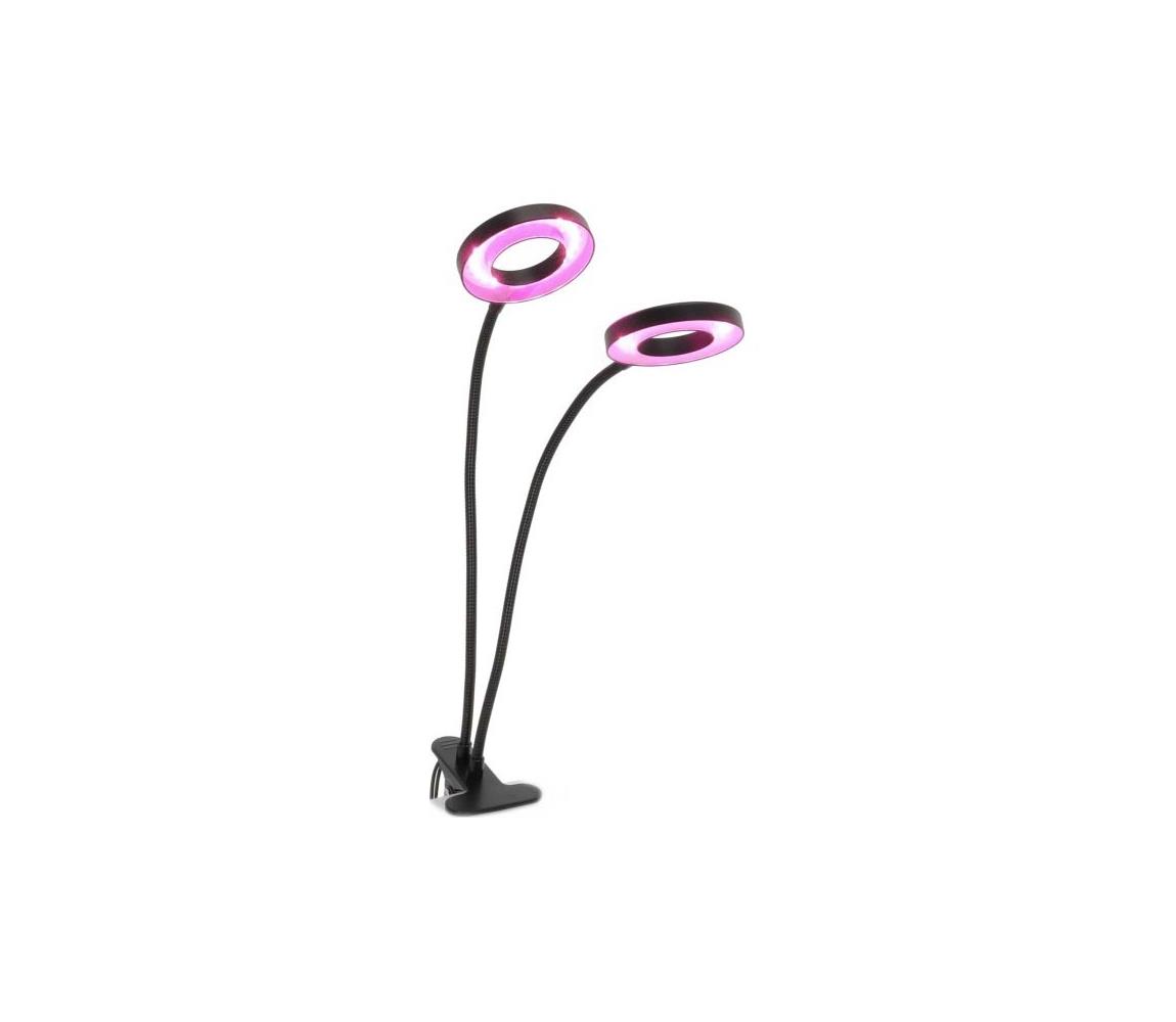 Donoci LED stolná lampa s klipom pre pestovanie VITARO 2xLED/4W/230V čierna