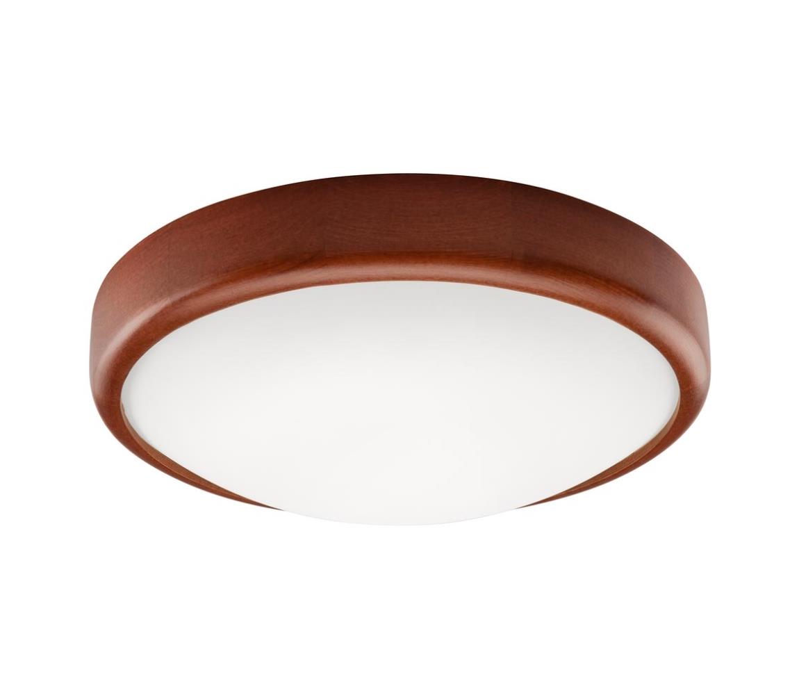 Donoci LED stropné svietidlo 1xLED/12W/230V