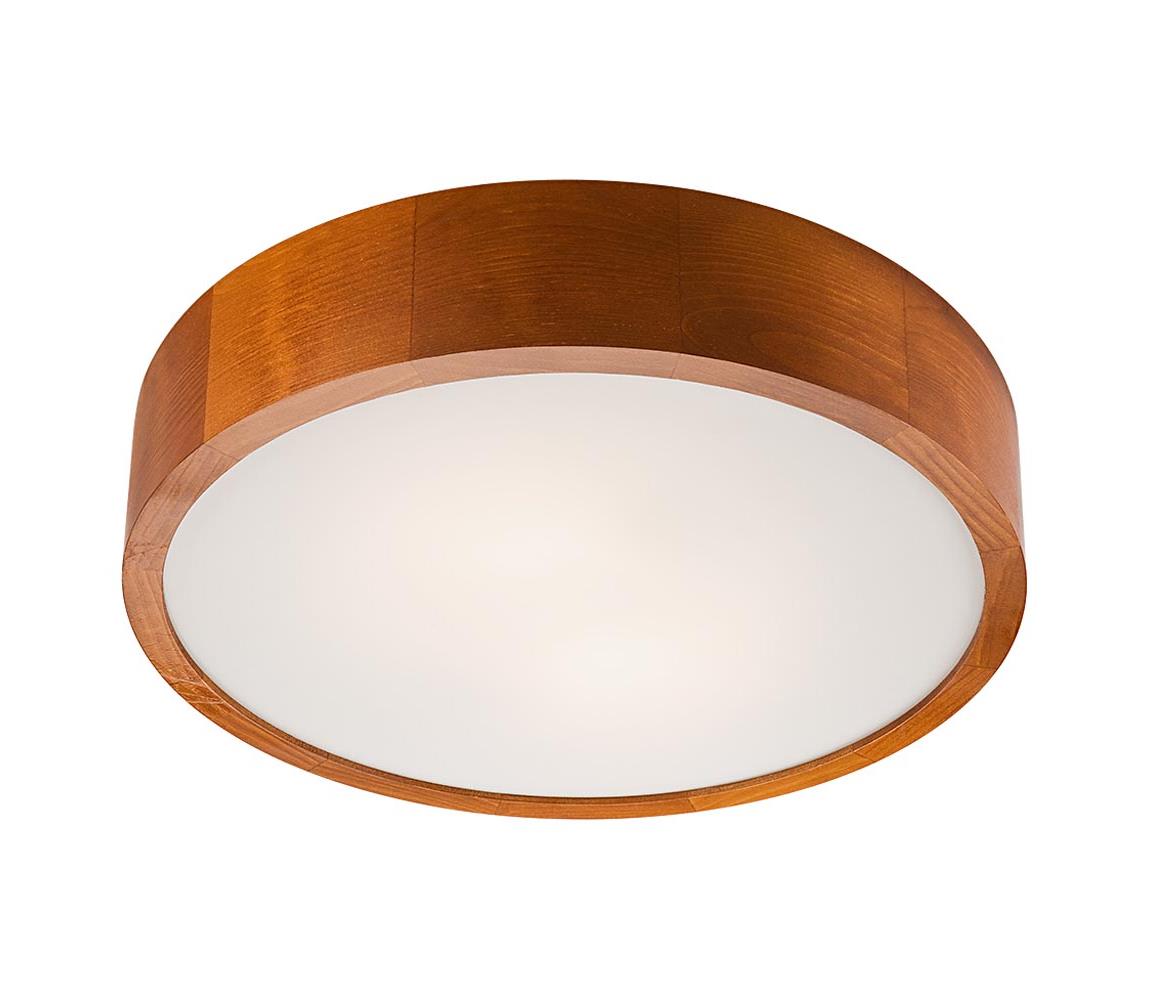 Donoci LED stropné svietidlo 1xLED/24W/230V