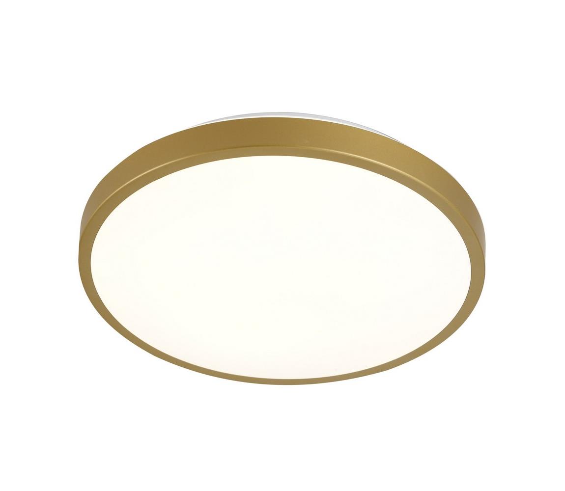 Donoci LED Stropné svietidlo KERN LED/15W/230V pr. 29 cm