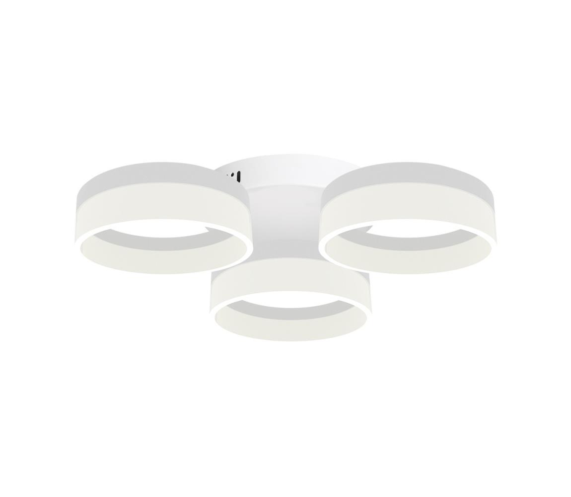Donoci LED Stropné svietidlo RING 3xLED/12W/230V biele