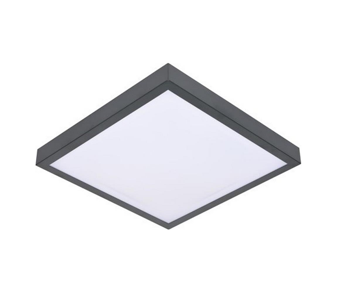 Donoci LED Stropné svietidlo so senzorom VITALI LED/24W/230V 4000K