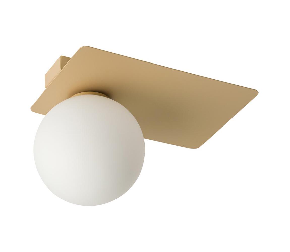 Donoci Stropné svietidlo ARGON 1xG9/12W/230V zlatá 33274