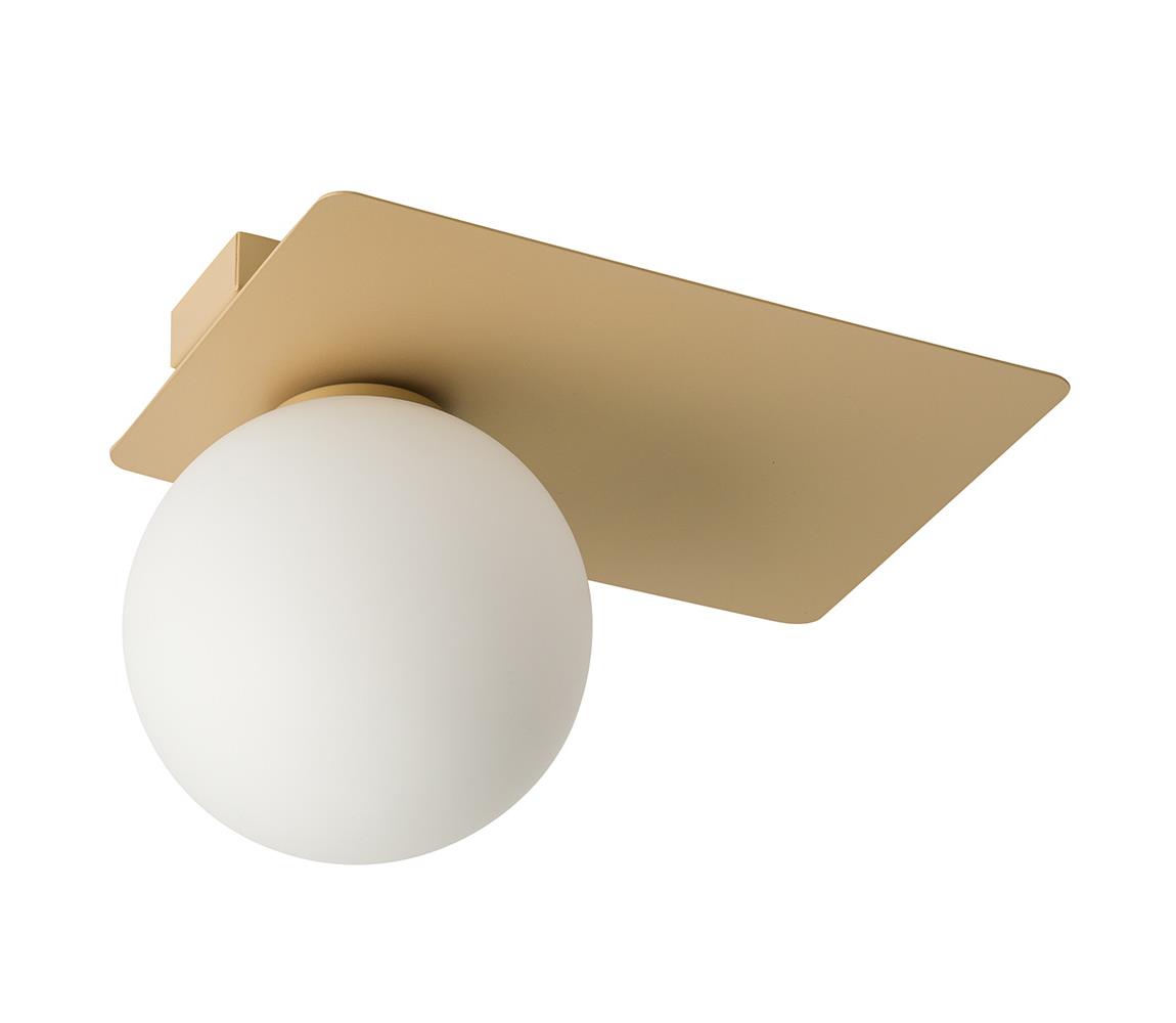 Donoci Stropné svietidlo ARGON 1xG9/12W/230V zlatá