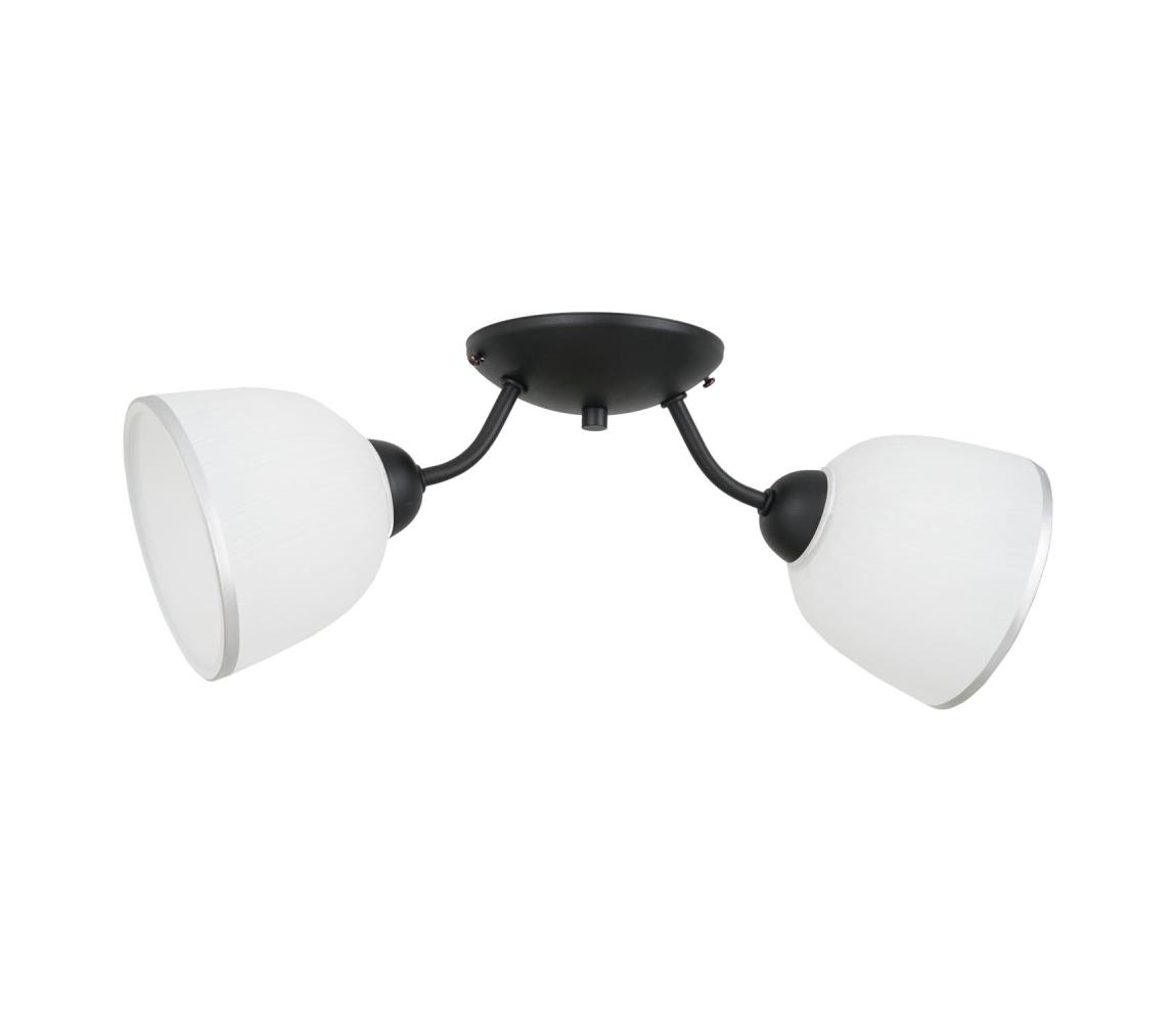 Donoci Stropné svietidlo AVIA 2xE27/60W/230V