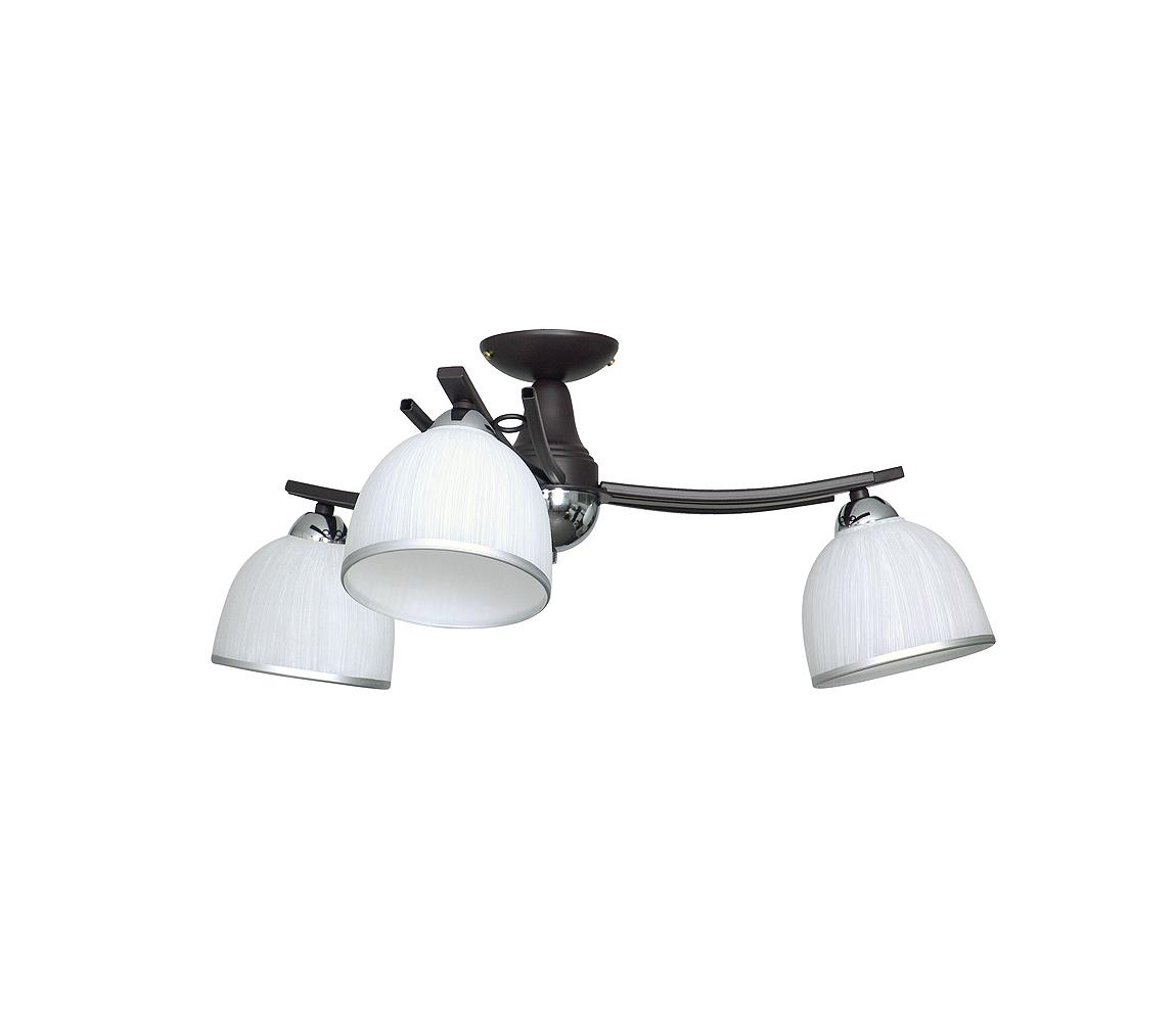 Donoci Stropné svietidlo AVIA 3xE27/60W/230V