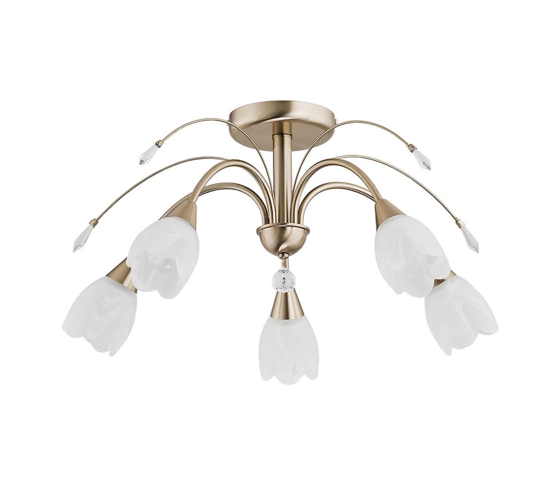 Donoci Stropné svietidlo BASTER 5xE14/10W/230V zlaté