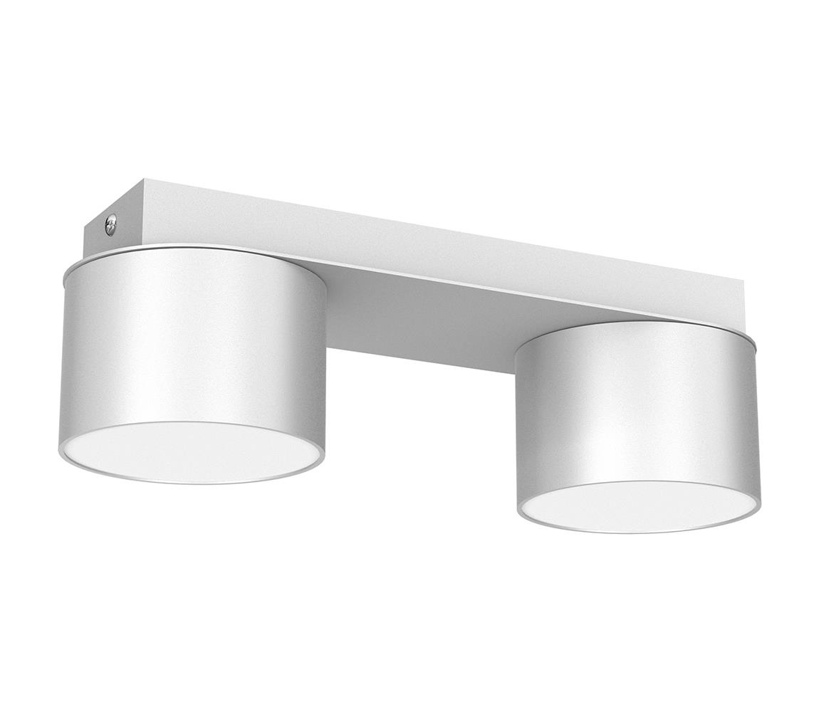Donoci Stropné svietidlo DIXIE 2xGX53/11W/230V biela