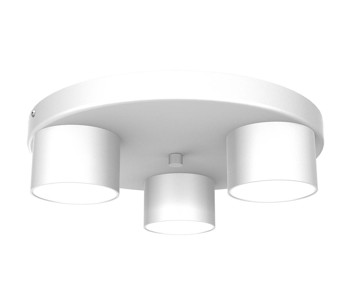 Donoci Stropné svietidlo DIXIE 3xGX53/11W/230V biela