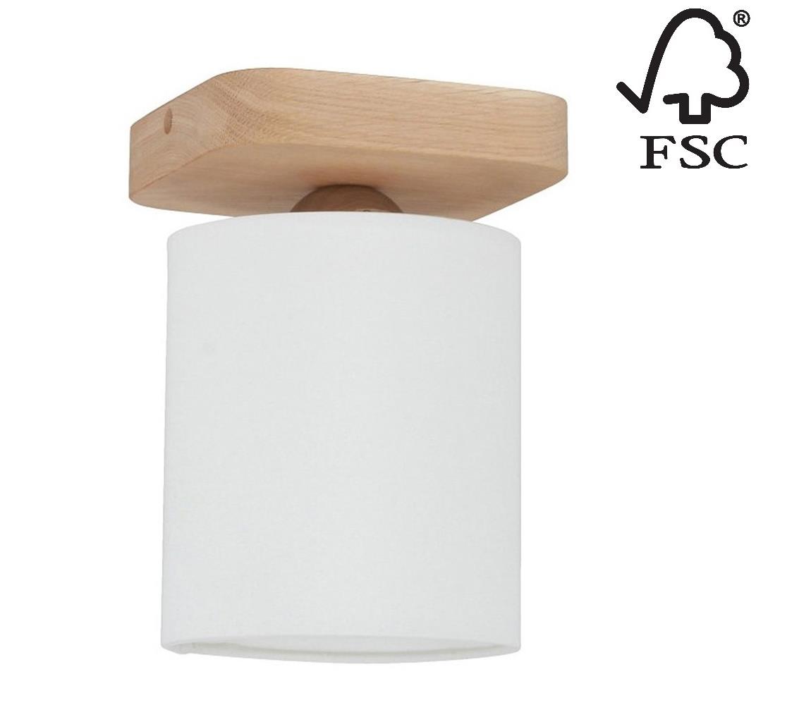 Donoci Stropné svietidlo JENTA 1xE27/25W/230V