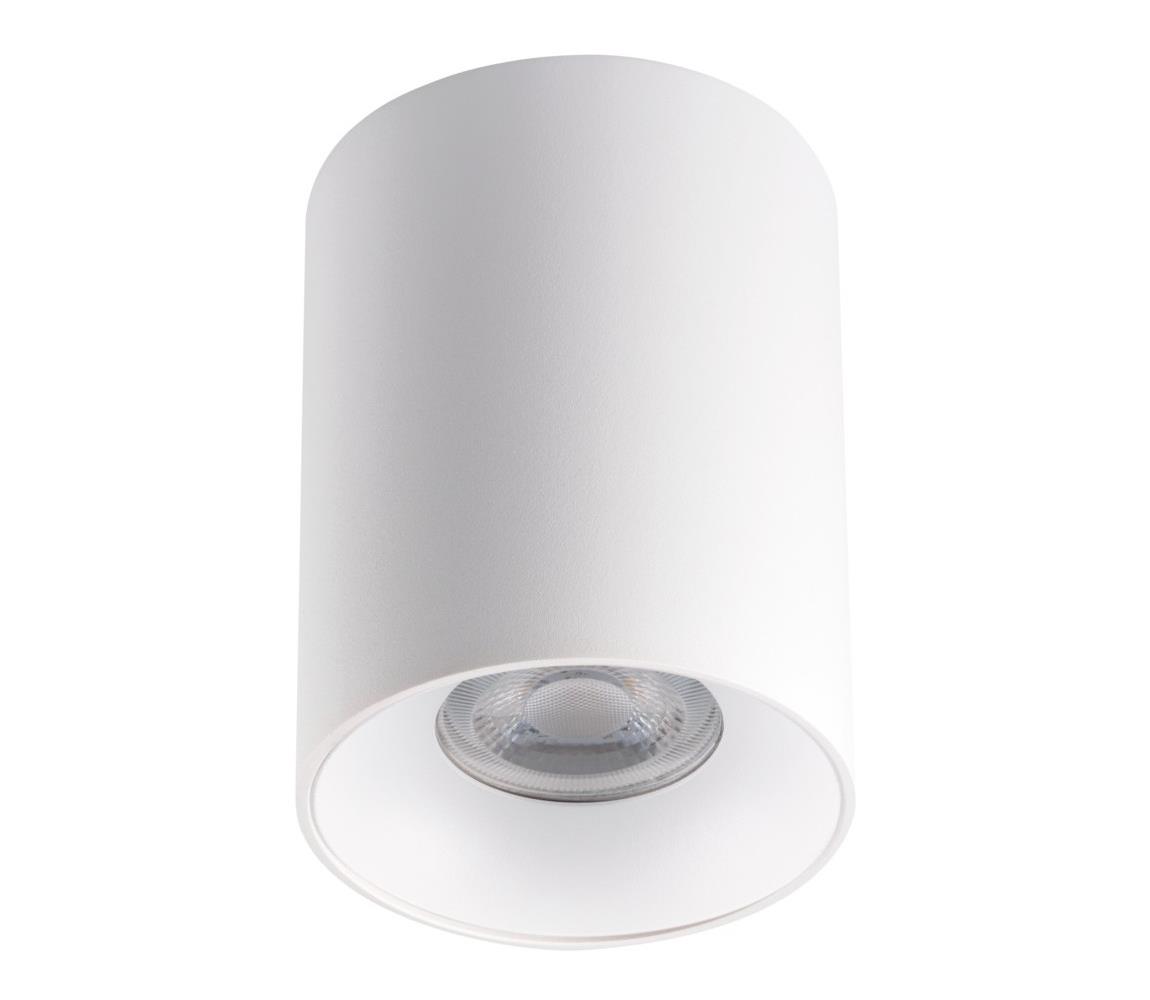 Donoci Stropné svietidlo RITI 1xGU10/25W/230V biela