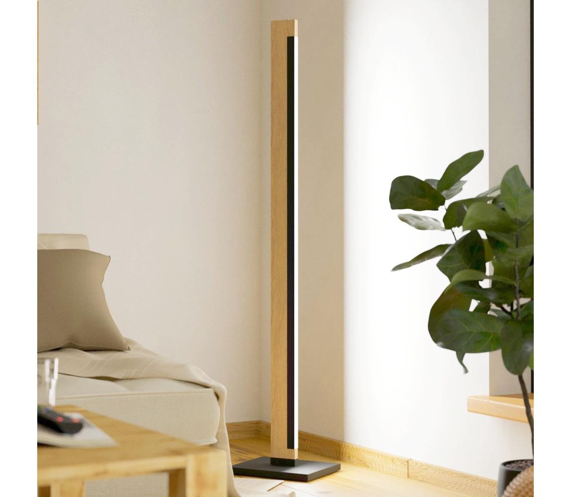 Eglo LED Stmievateľná stojacia lampa CAMACHO LED/22W/230V