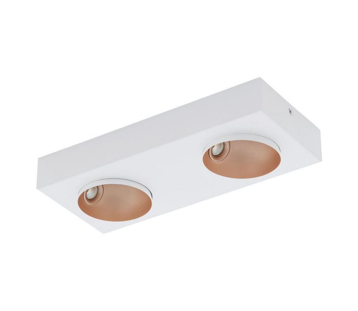 Eglo LED Stmievateľné stropné svietidlo RONZANO 2xLED/3,3W/230V
