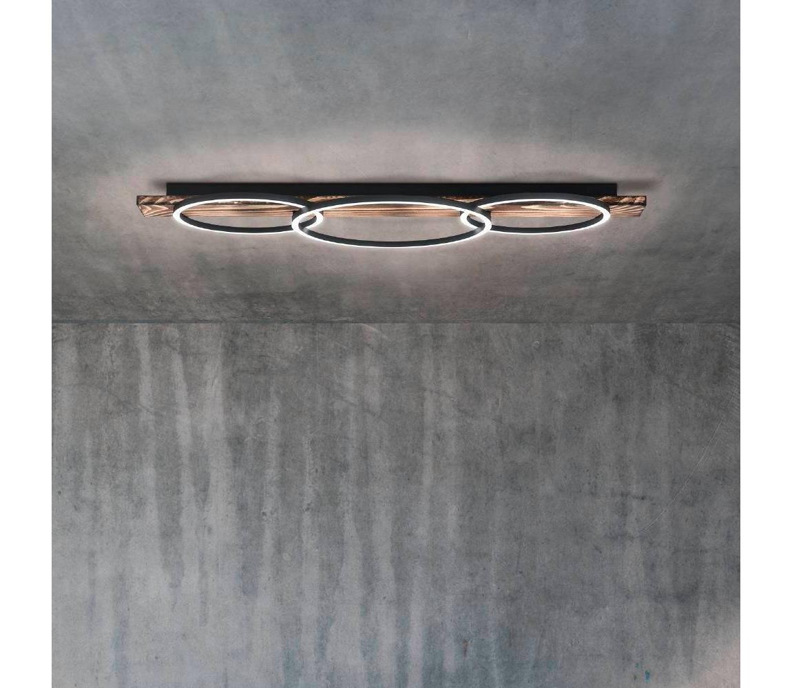 Eglo LED Stropné svietidlo BOYAL 2xLED/12W/230V + LED/12W