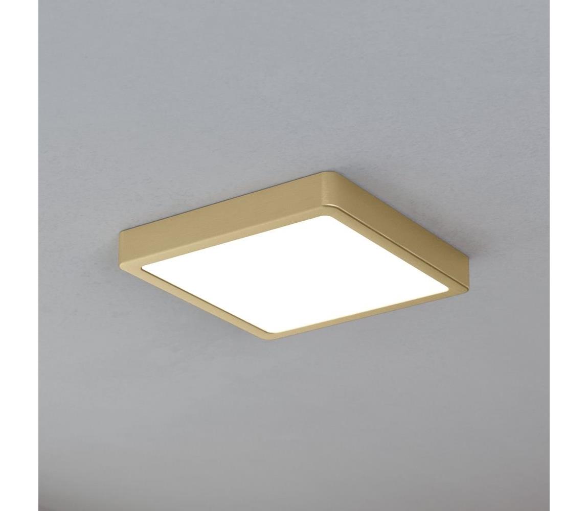 Eglo LED Stropné svietidlo FUEVA LED/17W/230V