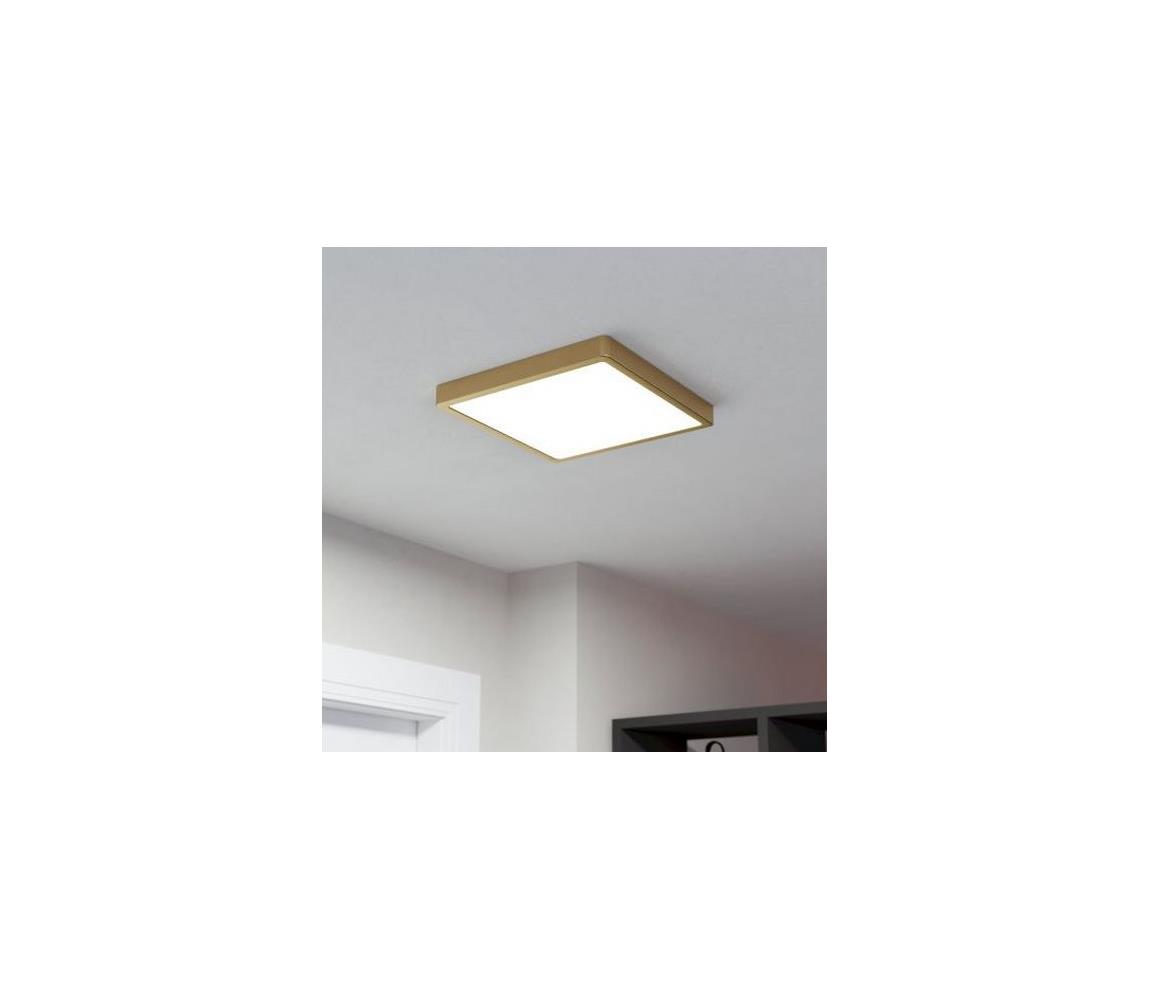 Eglo LED Stropné svietidlo FUEVA LED/20,5W/230V