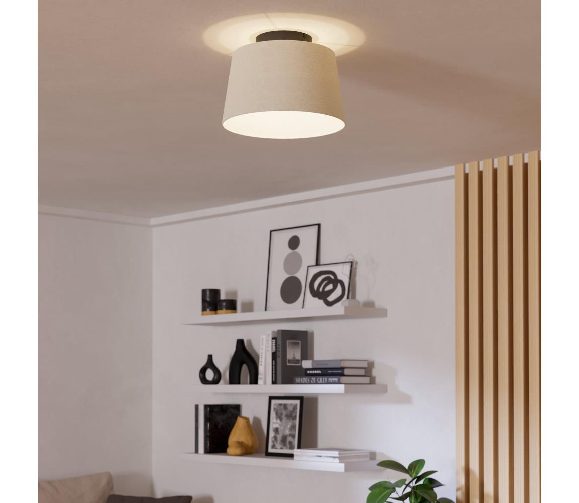 Eglo Stropné svietidlo FEBRES 1xE27/60W/230V