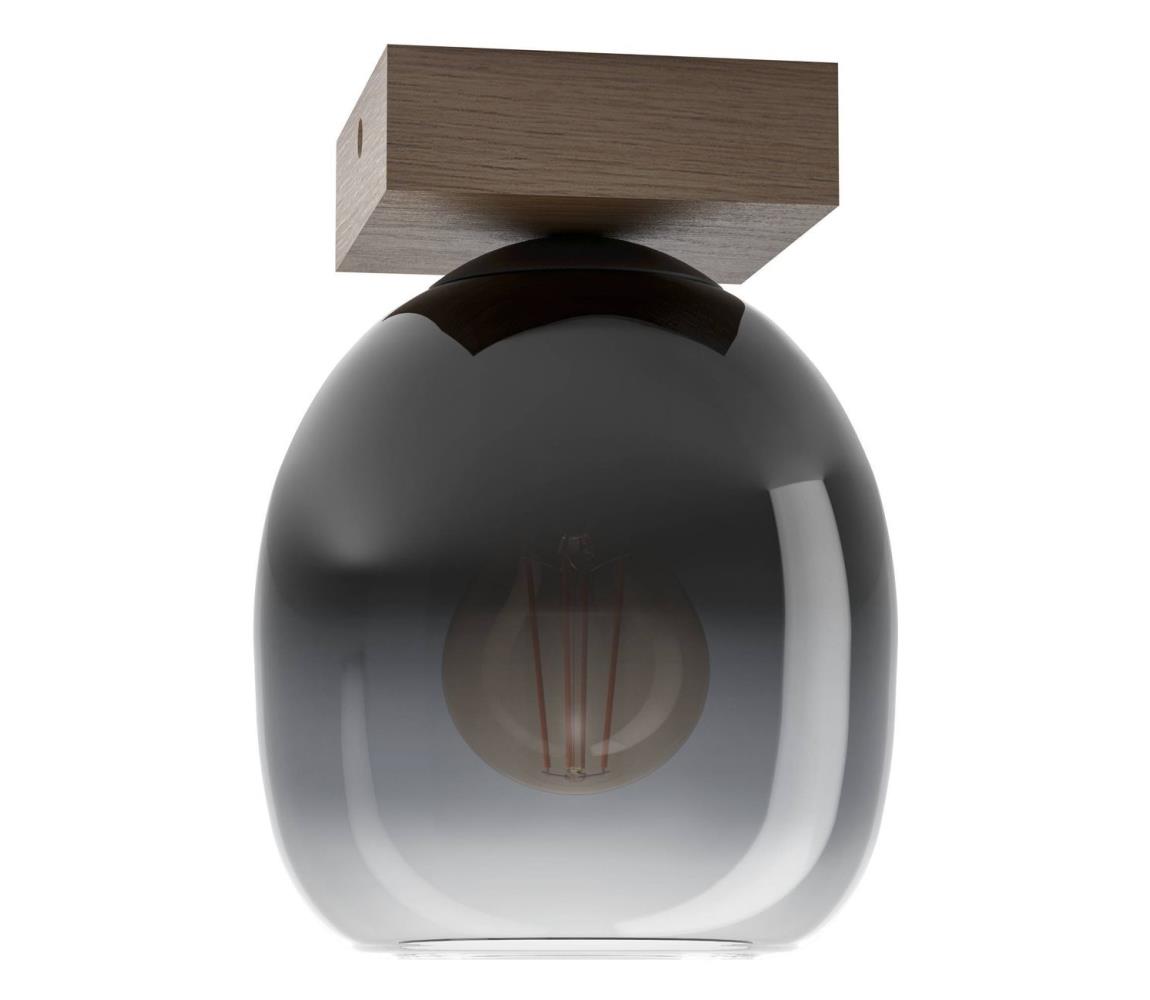 Eglo Stropné svietidlo FILAGO 1xE27/40W/230V