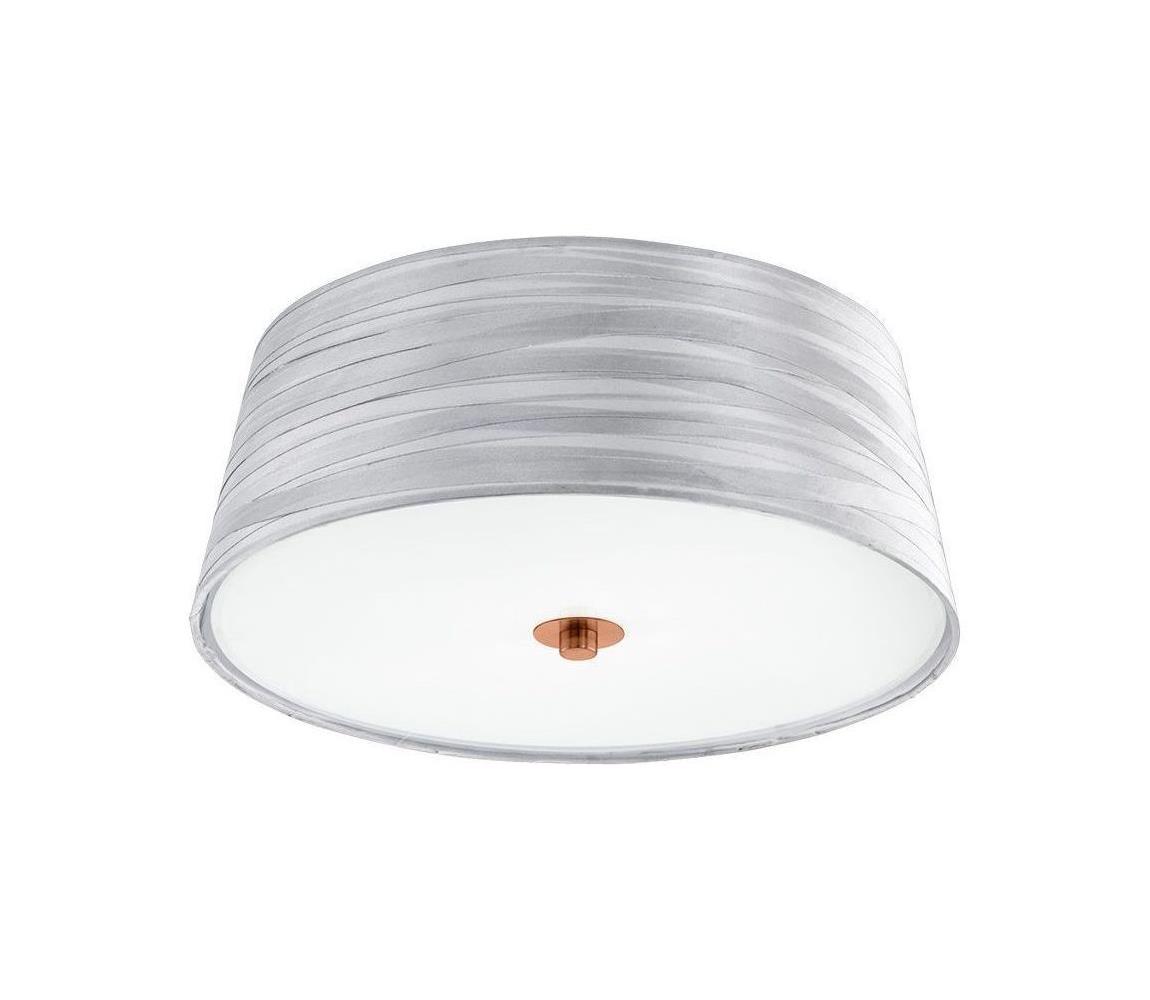 Eglo Stropné svietidlo FONSEA 1 2xE27/60W/230V