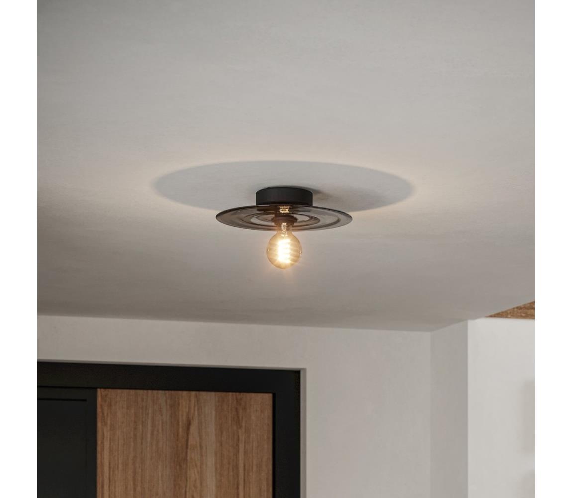 Eglo Stropné svietidlo LINTMILL 1xE27/40W/230V šedá