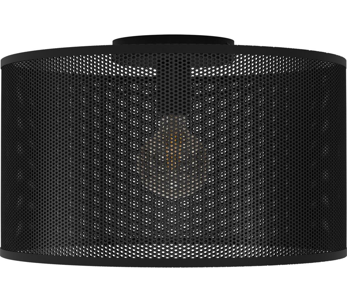 Eglo Stropné svietidlo MANBY 1xE27/40W/230V