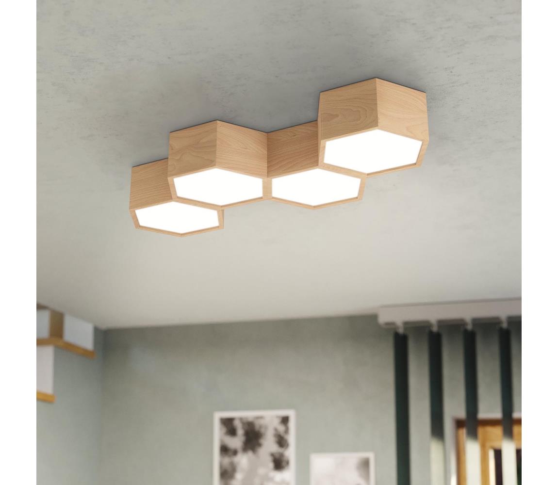 Eglo Stropné svietidlo MIRLAS 4xE27/9W/230V 98862