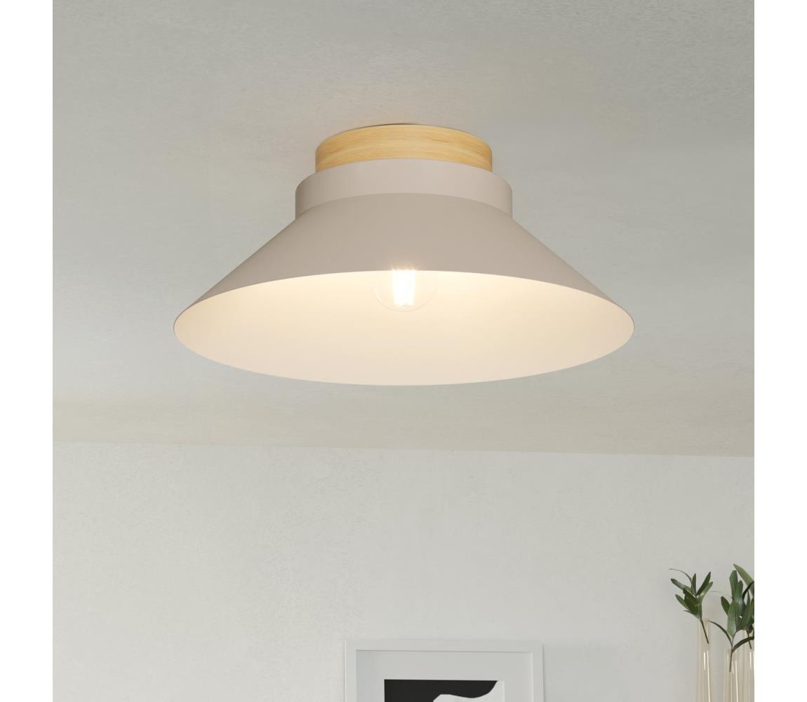 Eglo Stropné svietidlo MOHARRAS 1xE27/40W/230V