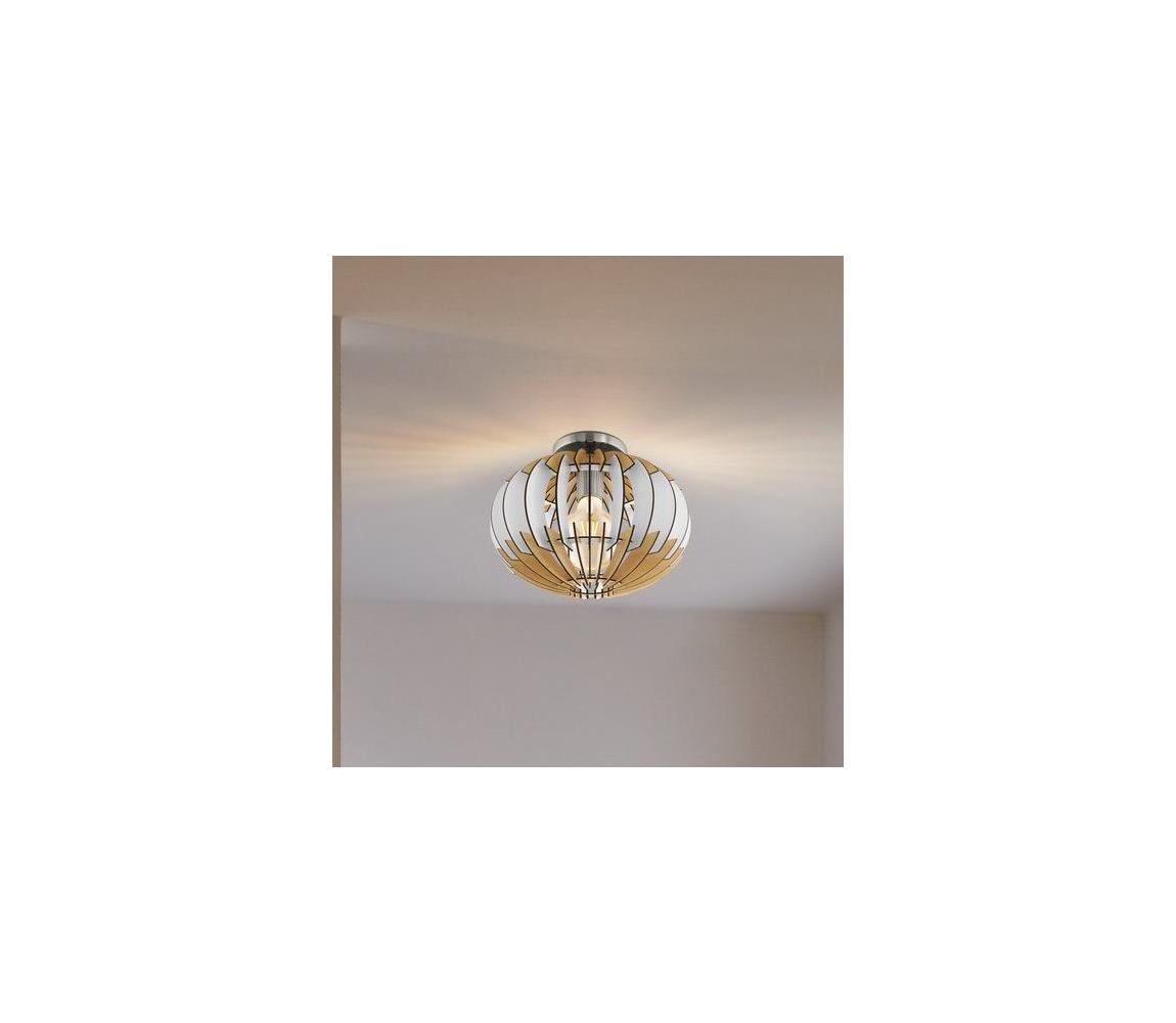 Eglo Stropné svietidlo OLMERO 1 1xE27/60W/230V