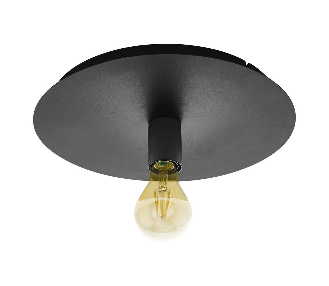 Eglo Stropné svietidlo PASSANO 1xE27/60W/230V