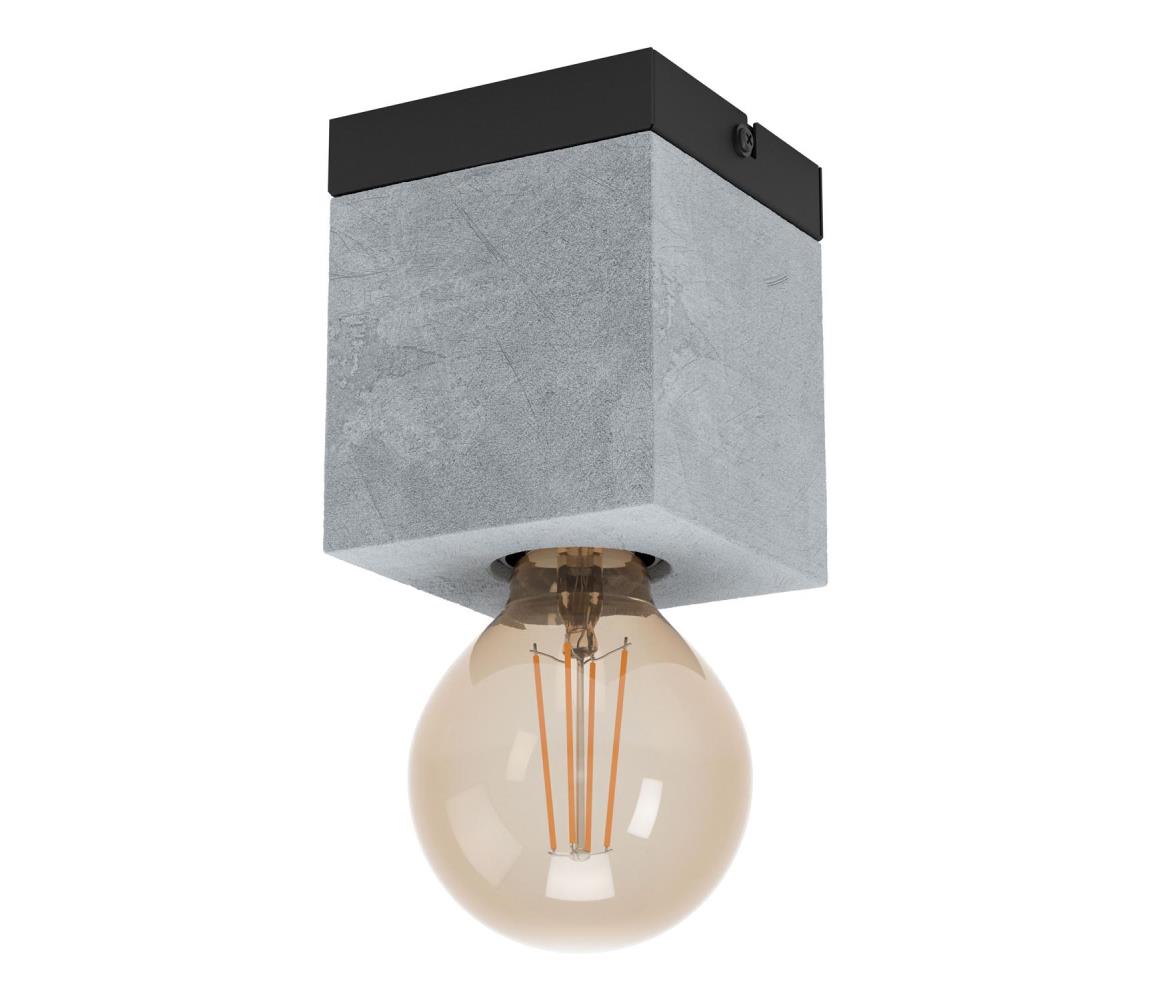 Eglo Stropné svietidlo PRESTWICK 1xE27/40W/230V