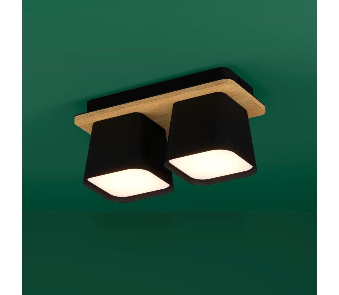 Eglo Stropné svietidlo RUSCIO 2xE27/40W/230V čierna/hnedá