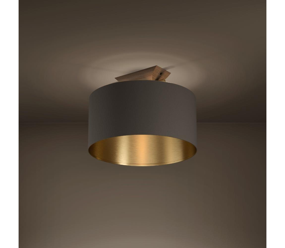 Eglo Stropné svietidlo SANTANDRIA 1xE27/40W/230V hnedá/zlatá