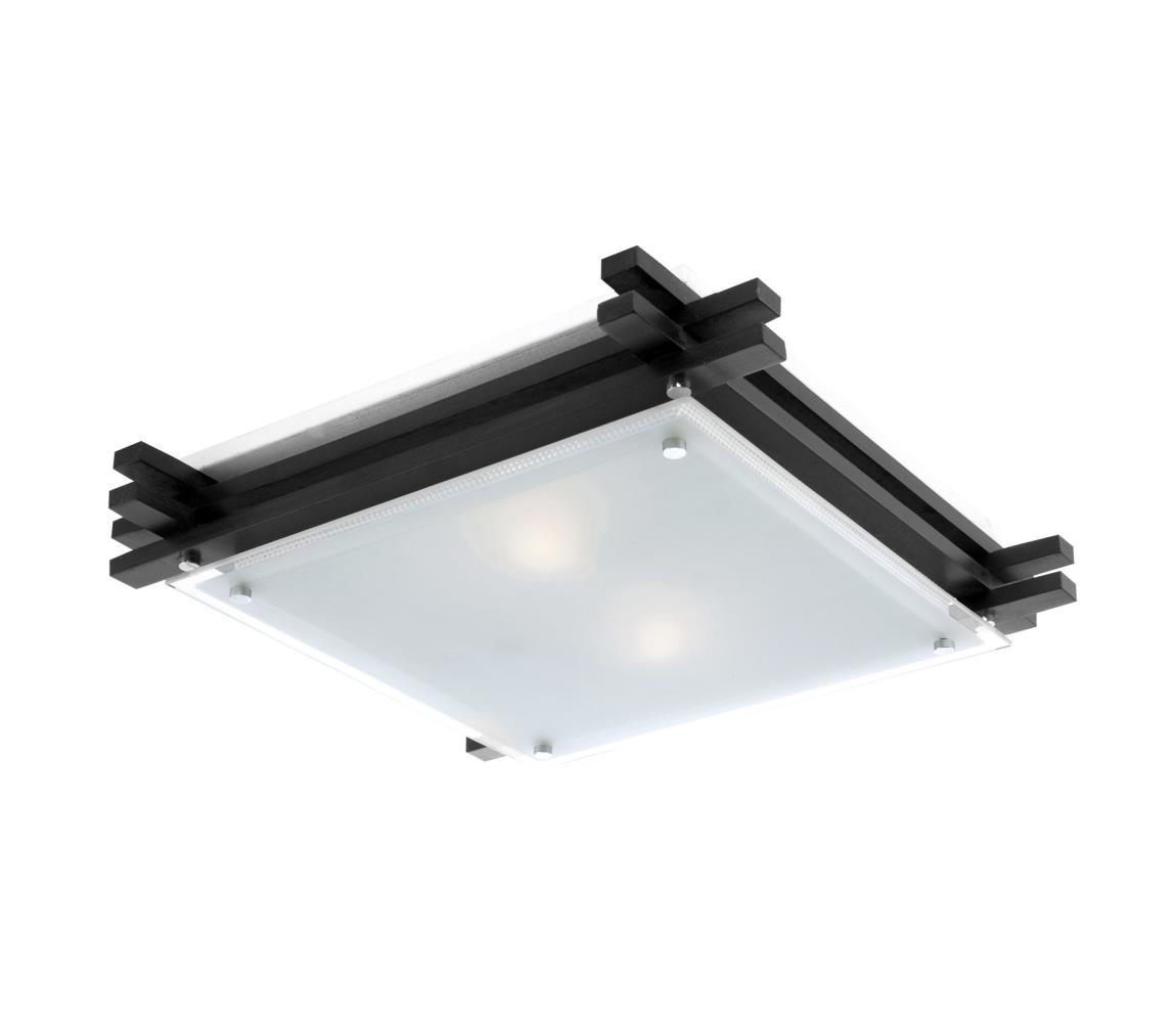 Globo 2 - Stropné svietidlo EDISON 2xE27/60W/230V