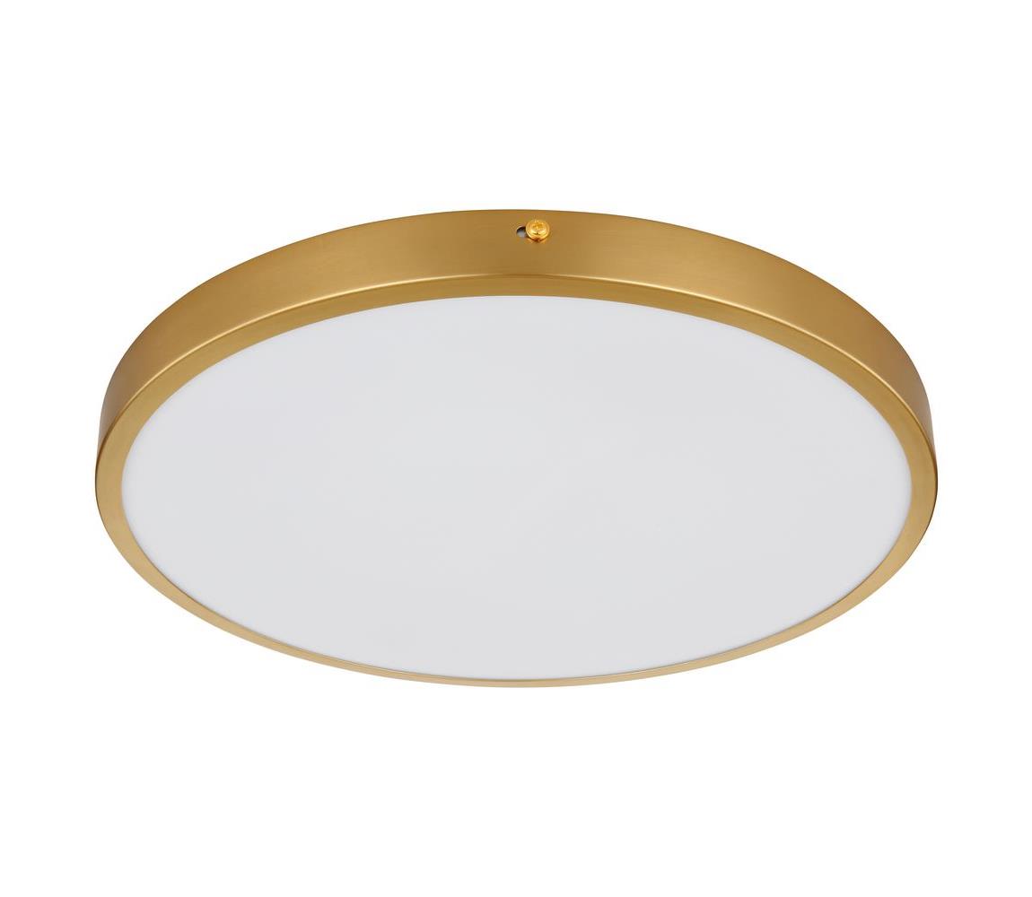 Globo 22 - LED Stropné svietidlo TIBEY LED/22W/230V pr. 35 cm